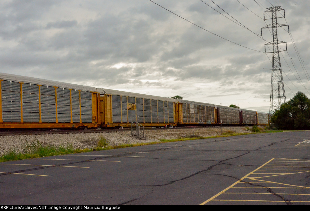 Autoracks train in the yard